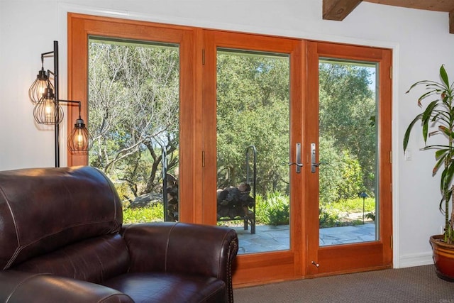 27509 Mountain Meadow Rd, Escondido, CA 92026 - doorway to outside featuring carpet flooring and plenty of natural light