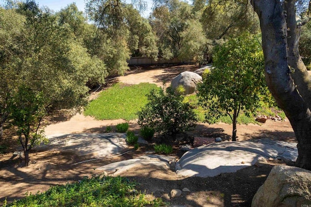 27509 Mountain Meadow Rd, Escondido, CA 92026 - view of yard with fence