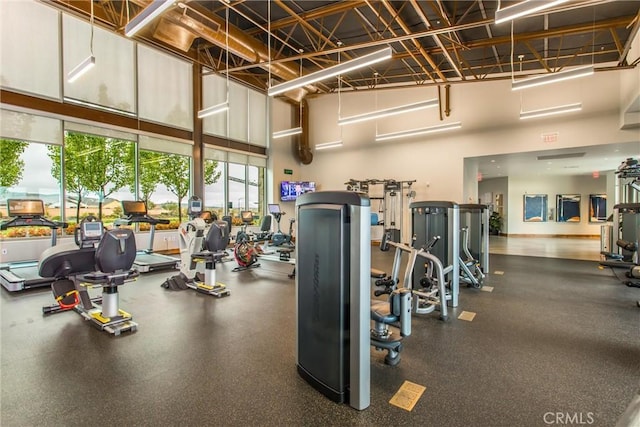 exercise room with a high ceiling