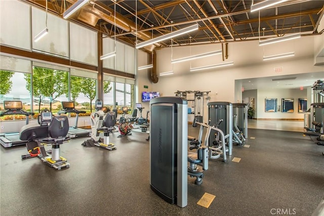 1567 Park Haven Dr, Beaumont, CA 92223 - workout area with a high ceiling