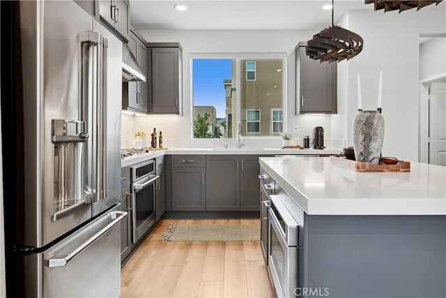 kitchen with gray cabinetry, light wood-type flooring, a sink, and stainless steel appliances
