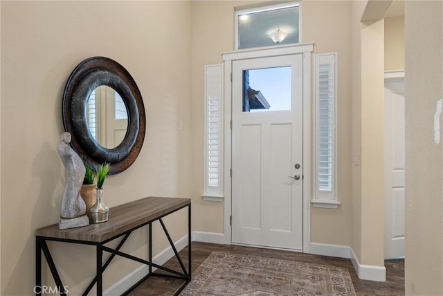 entryway featuring wood finished floors, baseboards, and a healthy amount of sunlight