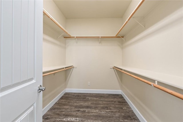 spacious closet with dark wood-type flooring