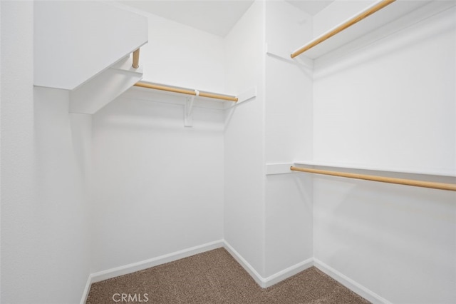 35051 Via Santa Catalina, Winchester, CA 92596 - photo 25