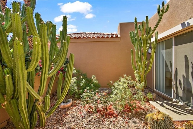 233 Lake Shore Dr, Rancho Mirage, CA 92270 - view of yard