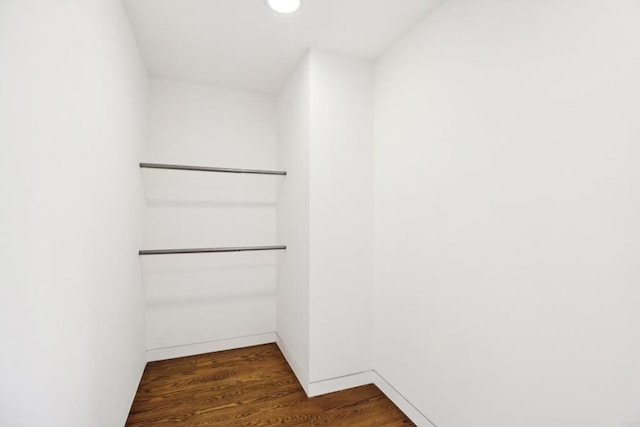walk in closet featuring dark wood finished floors
