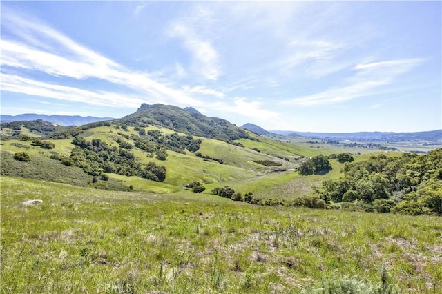 1498 Oconnor Way, San Luis Obispo, CA 93405 - photo 44