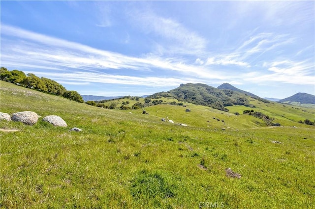 1498 Oconnor Way, San Luis Obispo, CA 93405 - photo 40