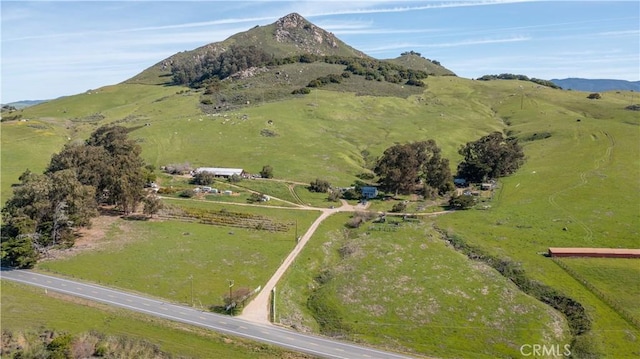 1498 Oconnor Way, San Luis Obispo, CA 93405 - photo 45