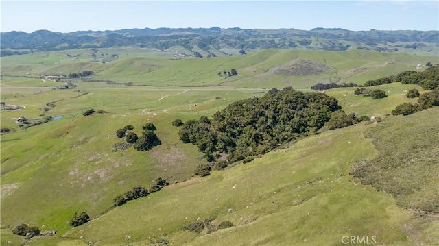 1498 Oconnor Way, San Luis Obispo, CA 93405 - photo 49