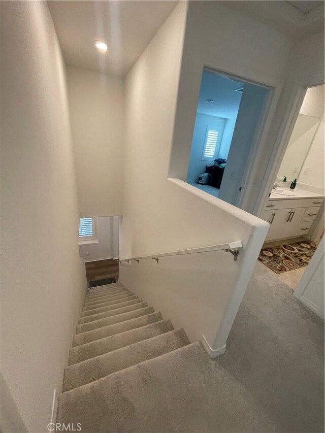 staircase featuring carpet flooring