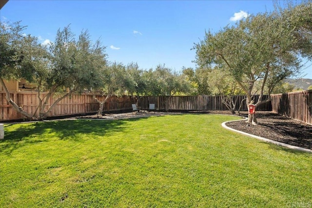 46525 Peach Tree St, Temecula, CA 92592 - view of fenced backyard