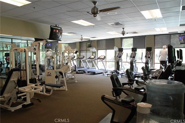 exercise room with visible vents, a ceiling fan, and a drop ceiling