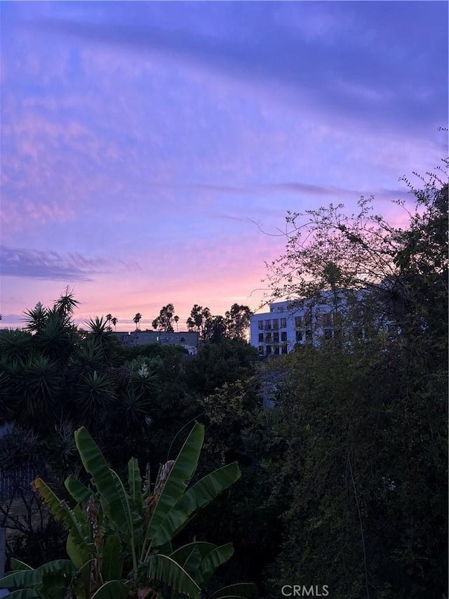 view of nature at dusk
