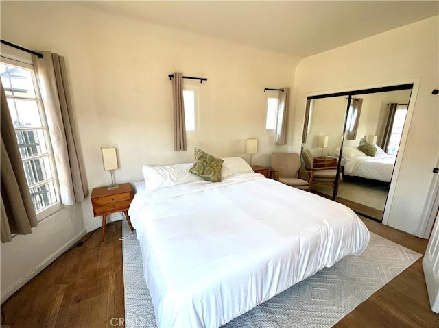 bedroom featuring a closet, multiple windows, and wood finished floors