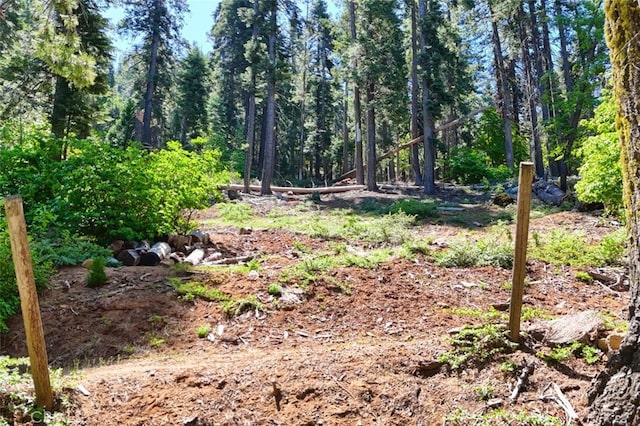 7420 Henness Ridge Rd, Yosemite, CA 95389 - photo 8