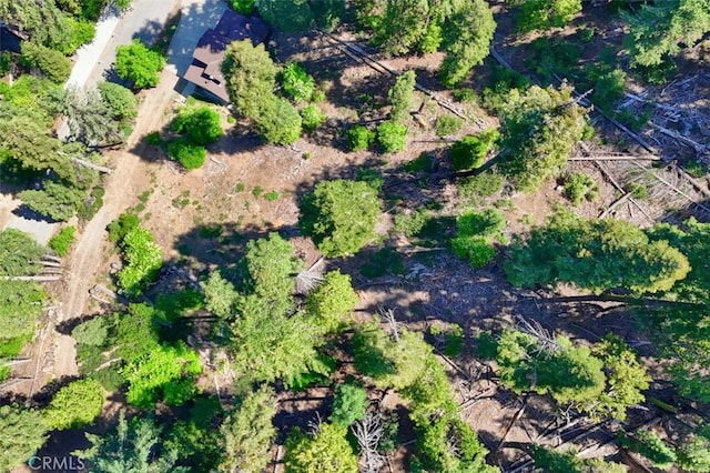 7420 Henness Ridge Rd, Yosemite, CA 95389 - photo 21