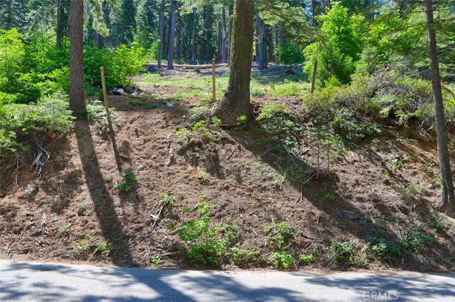 7420 Henness Ridge Rd, Yosemite, CA 95389 - photo 19