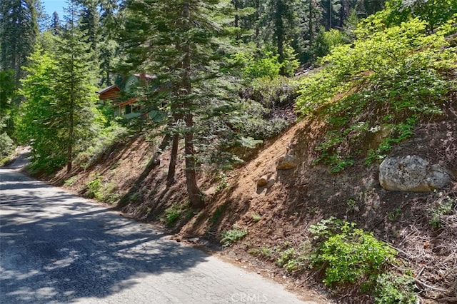7420 Henness Ridge Rd, Yosemite, CA 95389 - photo 17