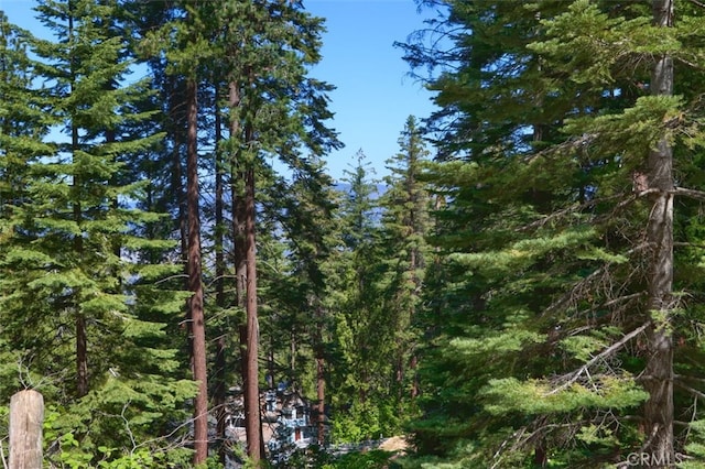 7420 Henness Ridge Rd, Yosemite, CA 95389 - photo 13