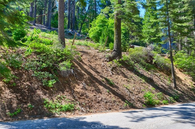 7420 Henness Ridge Rd, Yosemite, CA 95389 - photo 7
