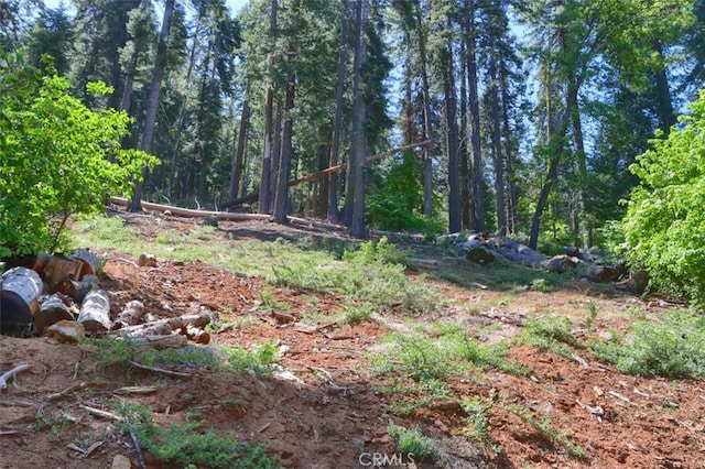 7420 Henness Ridge Rd, Yosemite, CA 95389 - photo 20