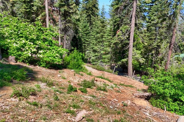 7420 Henness Ridge Rd, Yosemite, CA 95389 - photo 5