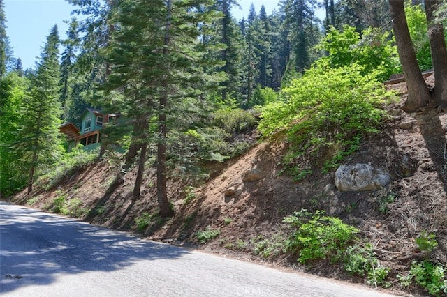 7420 Henness Ridge Rd, Yosemite, CA 95389 - photo 11