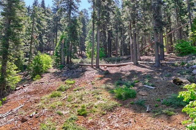 7420 Henness Ridge Rd, Yosemite, CA 95389 - photo 18