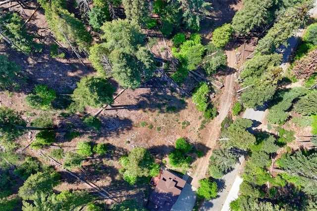 7420 Henness Ridge Rd, Yosemite, CA 95389 - photo 14