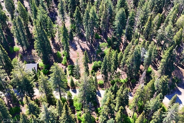 7420 Henness Ridge Rd, Yosemite, CA 95389 - photo 16