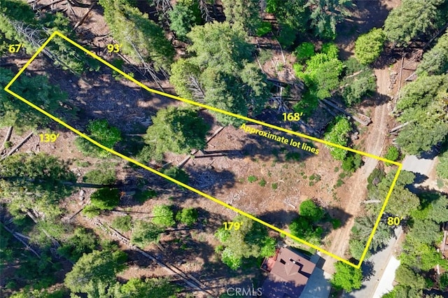 7420 Henness Ridge Rd, Yosemite, CA 95389 - photo 2