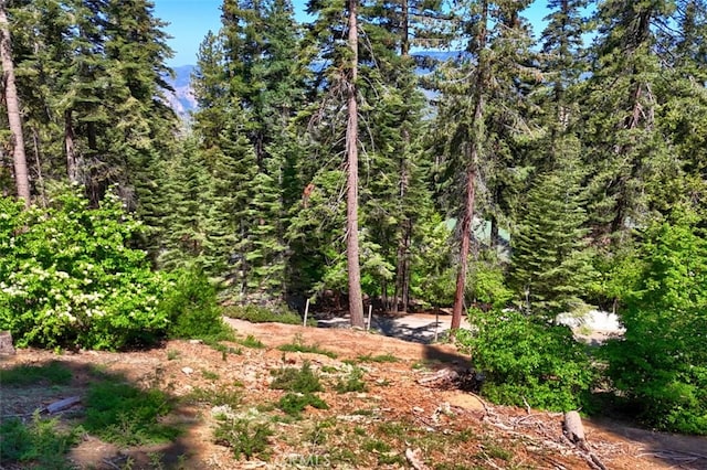 7420 Henness Ridge Rd, Yosemite, CA 95389 - photo 1