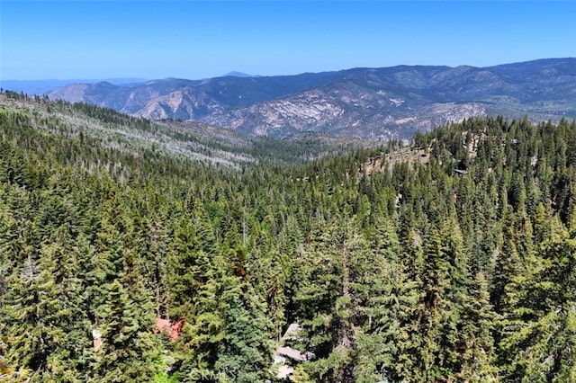 7420 Henness Ridge Rd, Yosemite, CA 95389 - photo 4