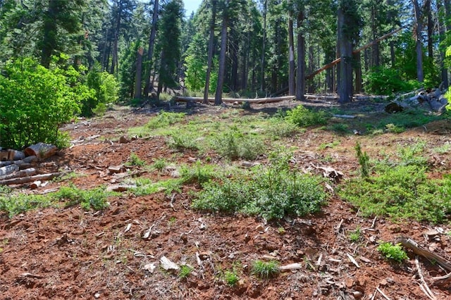 7420 Henness Ridge Rd, Yosemite, CA 95389 - photo 3