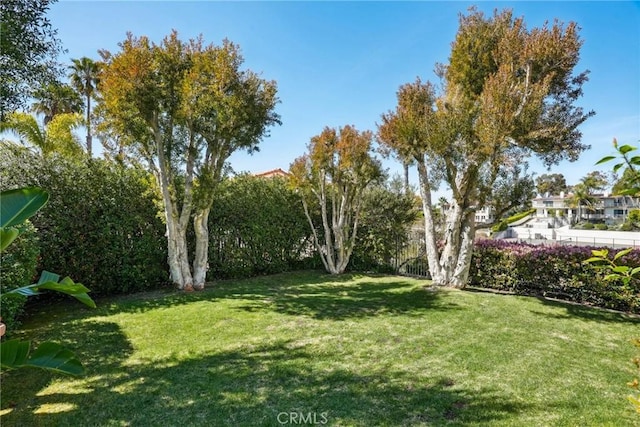 view of yard featuring fence