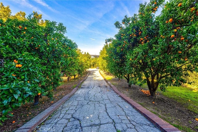 2001 Hacienda Rd, La Habra Heights, CA 90631 - view of property's community with agricultural area