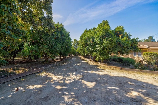2001 Hacienda Rd, La Habra Heights, CA 90631 - view of road featuring agricultural plots