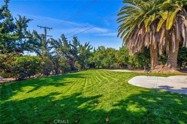 2001 Hacienda Rd, La Habra Heights, CA 90631 - view of green lawn featuring a patio