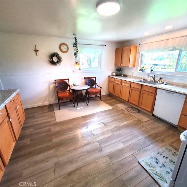 kitchen featuring light countertops, wood finished floors, a sink, and white dishwasher