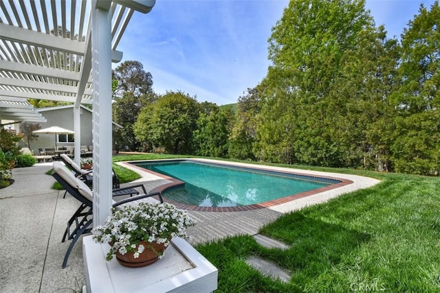 5223 Armida Dr, Woodland Hills, CA 91364 - outdoor pool with a pergola, a patio, and a lawn