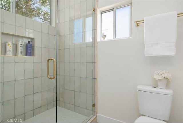bathroom featuring toilet, a stall shower, and a healthy amount of sunlight