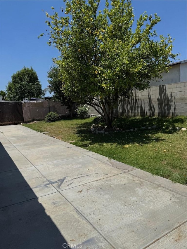 518 E 2nd St, Rialto, CA 92376 - view of yard