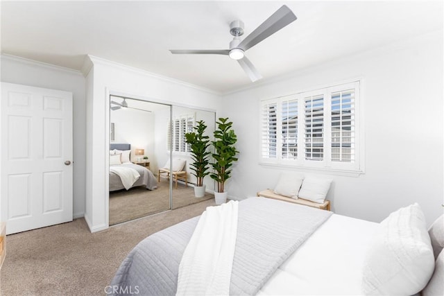 carpeted bedroom featuring crown molding, a ceiling fan, and a closet