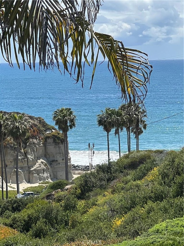 property view of water