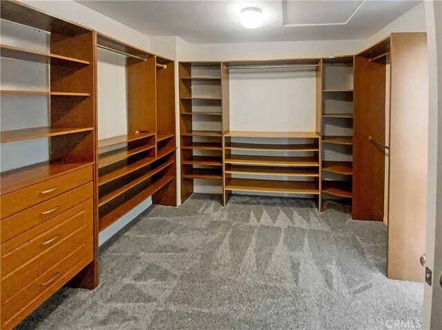 spacious closet featuring carpet floors