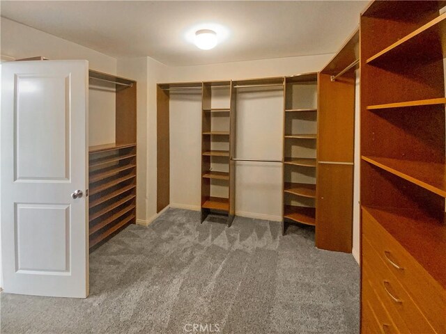 spacious closet with carpet floors