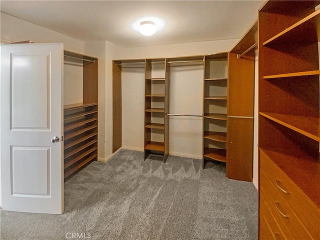 28861 Topsfield Ct, Temecula, CA 92591 - walk in closet featuring carpet
