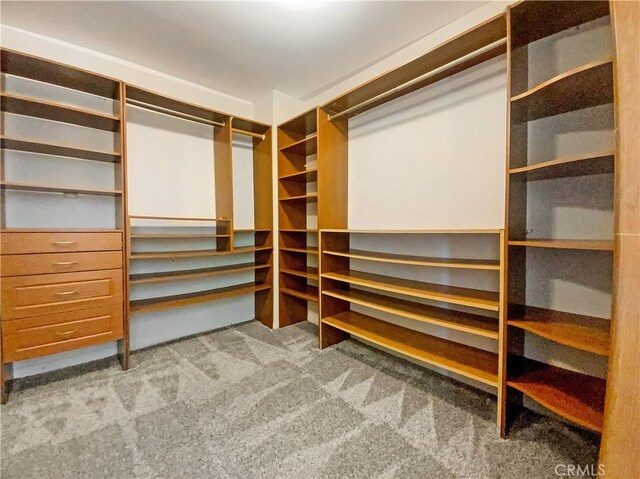 walk in closet featuring carpet floors
