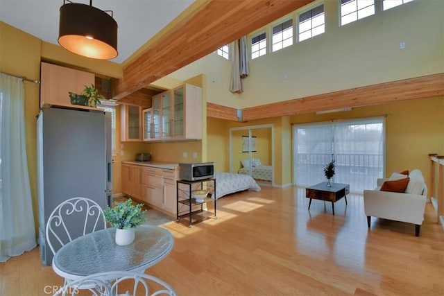 1631 Salem St, Chico, CA 95928 - kitchen featuring stainless steel appliances, plenty of natural light, light wood finished floors, and a towering ceiling
